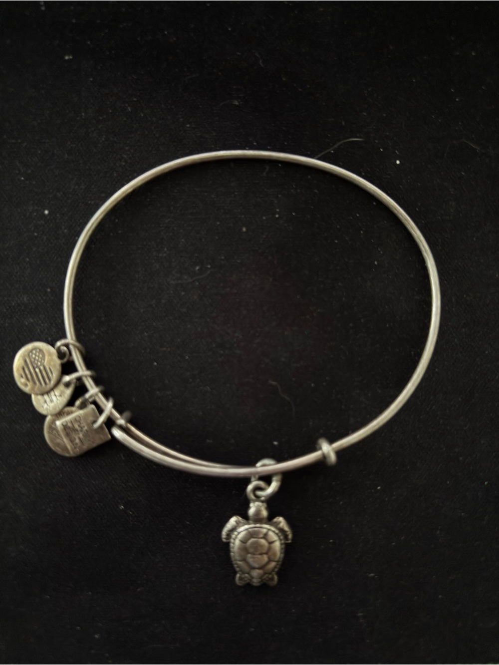 Alex and ani bangle bracelet turtle